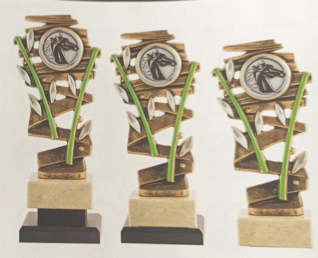 Trofeos series hípica